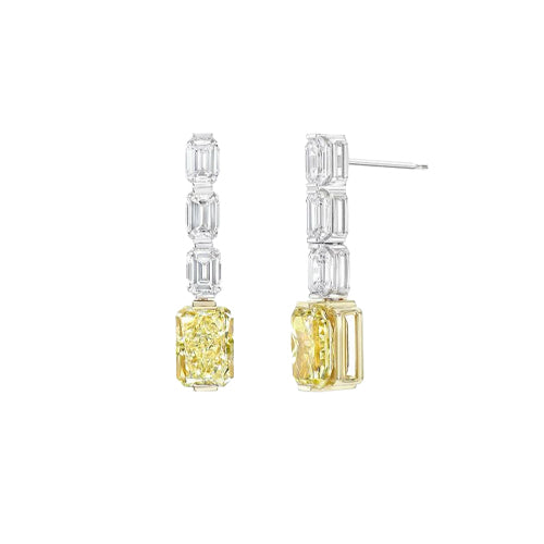 Drops Earrings